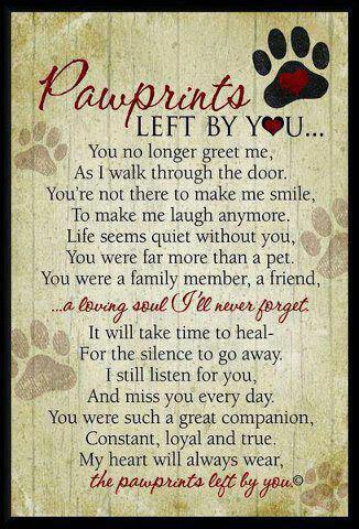 bridge rainbow poem dogs dog heaven pet pawprints loss pets poems those left paw prints heart lost never words cat